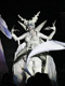 white-wings
