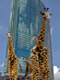 giraffen klein