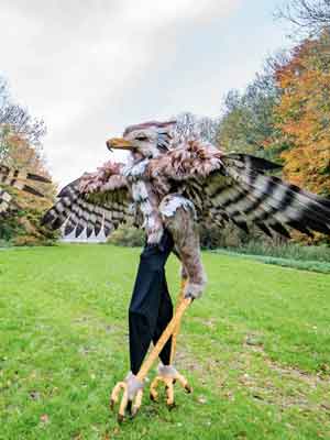 big birds