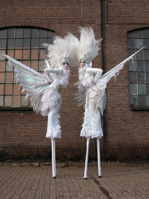 duifjes