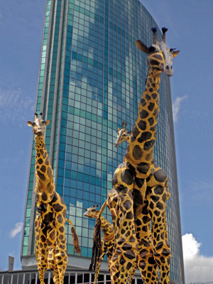 giraffen klein