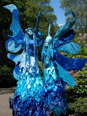 Blauwe elfjes